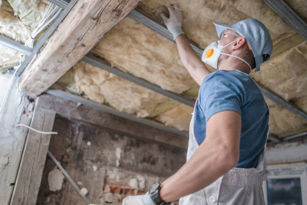 Best Insulation Installation Services in Lealman, FL