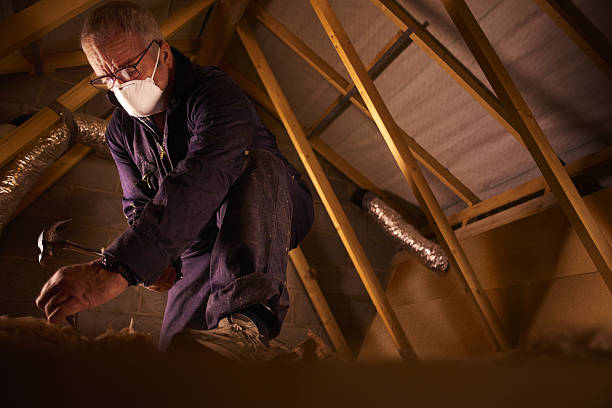 Best Insulation for Specific Applications in Lealman, FL